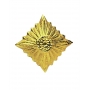 Золотой ромб (звезда) на погоны армии ГДР